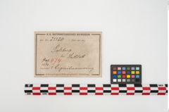Foto von Lignitarmring (NHMW-PRAE-025120)